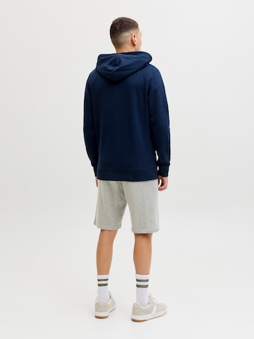 JACK & JONES Regular Shorts 'JPSTGordon Archive' in Grau