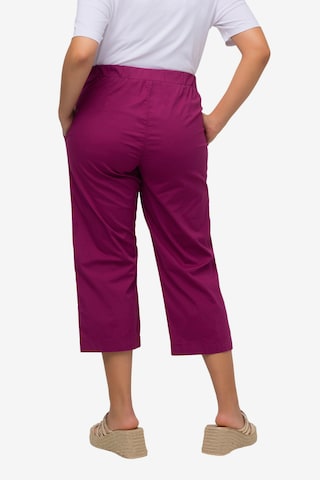 Ulla Popken Regular Pants in Red