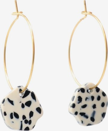 Boucles d'oreilles 'Acetat Creolen Alice' Fräulein Wunder en beige : devant
