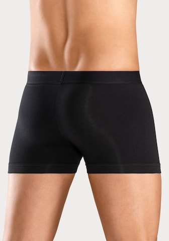 Bruno Banani LM Boxershorts in Mischfarben