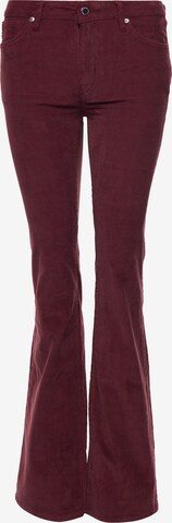 Superdry Flared Hose in Lila: predná strana