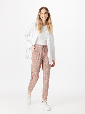 Iriedaily Tapered Broek 'Groovy' in Roze