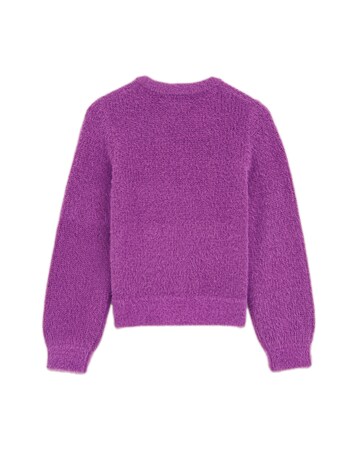 Pullover di WE Fashion in lilla