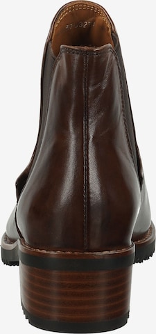 Chelsea Boots Everybody en marron