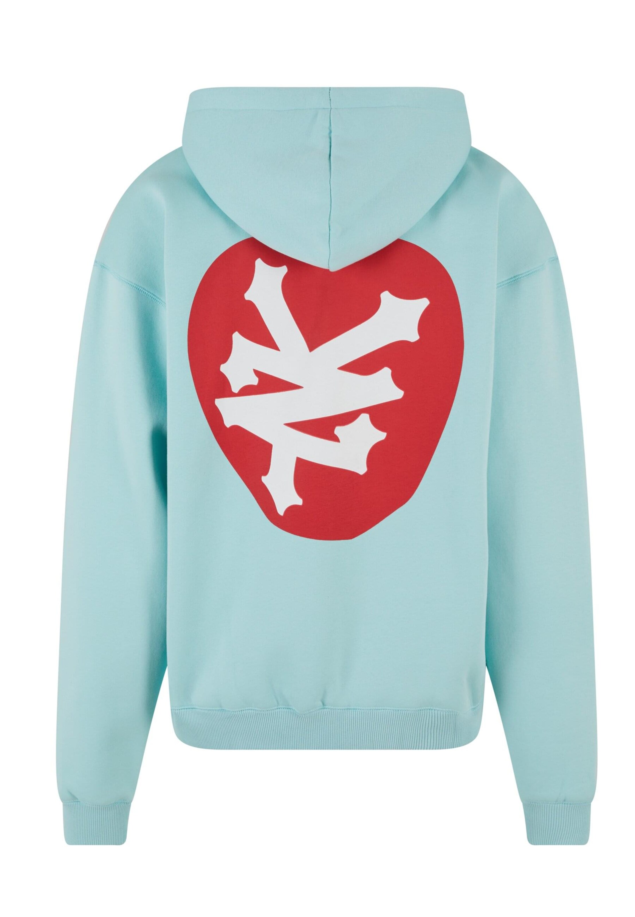 Felpa 'ZM243-039-2' di ZOO YORK in verde