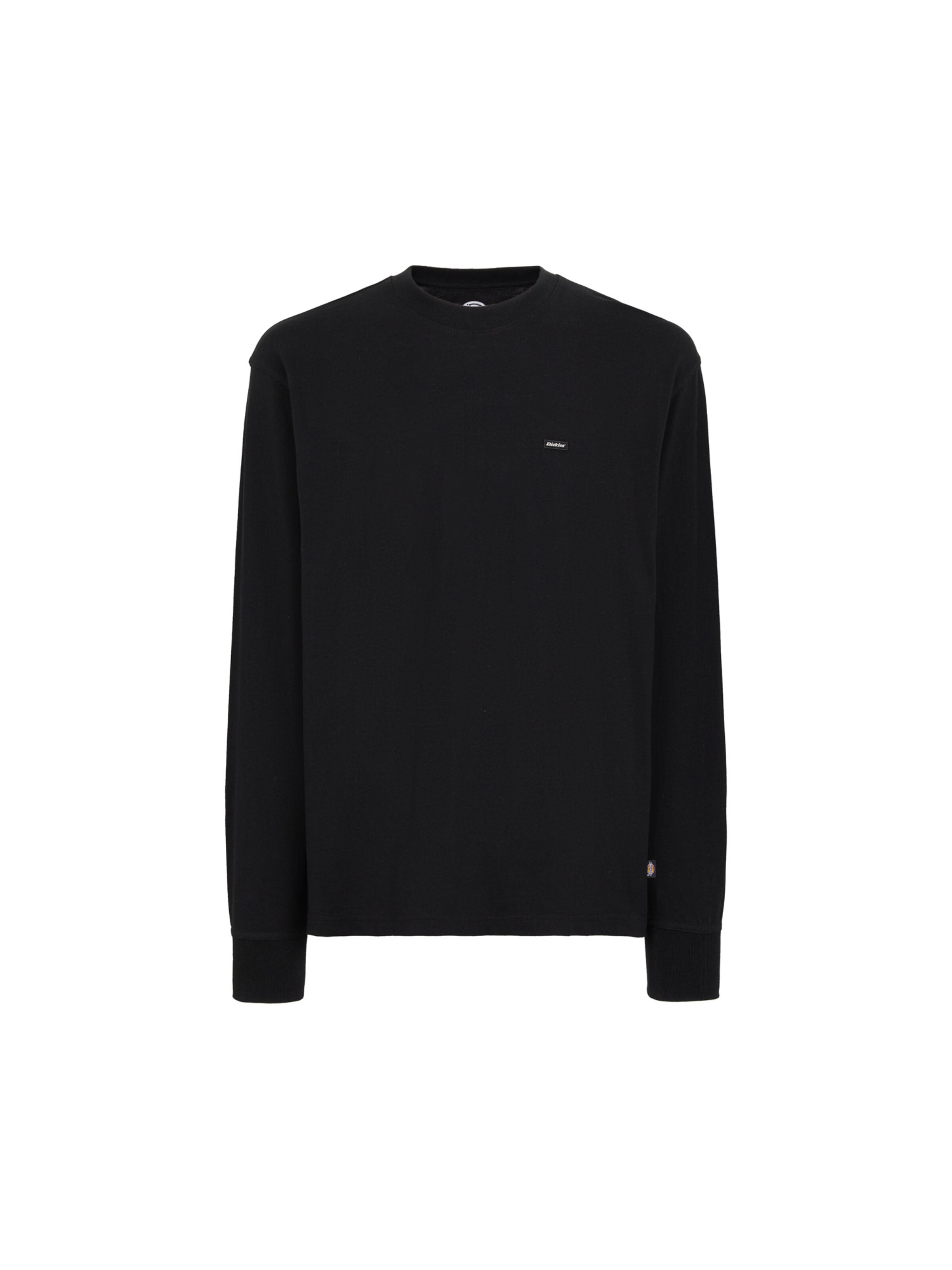 DICKIES Μπλουζάκι 'CLANCY' σε μαύρο: μπροστά