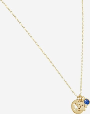 Gemshine Necklace in Gold