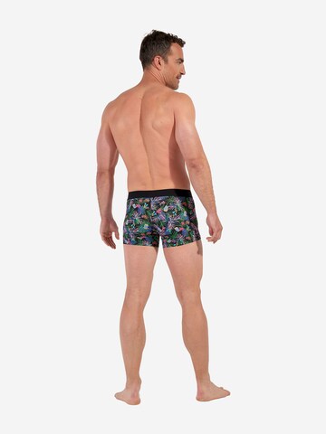 Boxers ' Boxer Briefs Havana ' HOM en mélange de couleurs