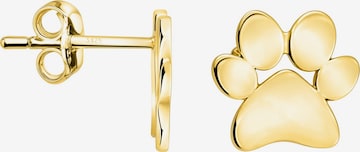 Sofia Milani Ohrringe 'Paw' in Gold: Vorderseite