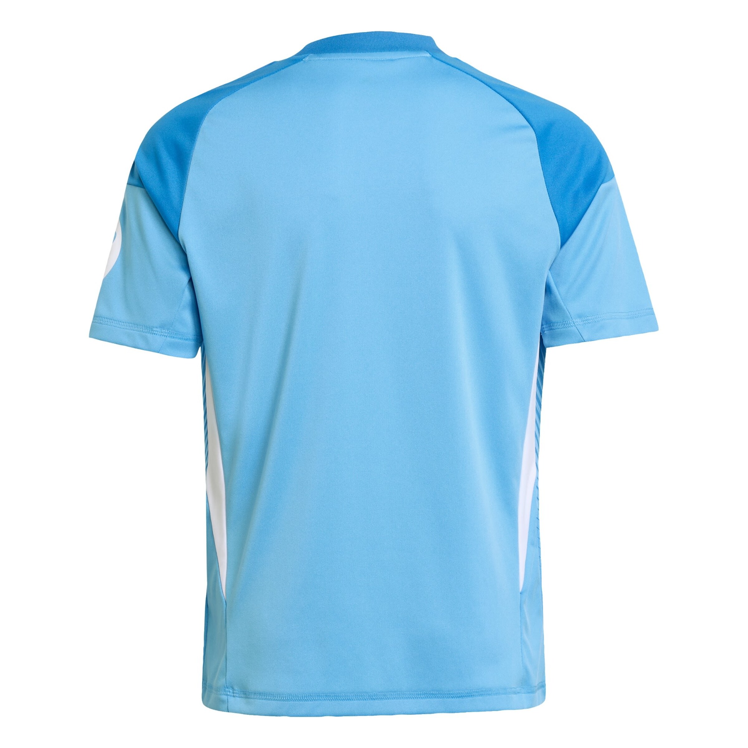 ADIDAS PERFORMANCE Funktionsshirt 'Real Madrid 25/26' in Blau