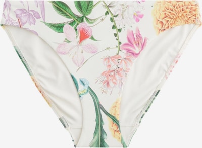 Bikinio kelnaitės 'Kew' iš Next, spalva – garstyčių spalva / tamsiai žalia / levandų spalva / balta, Prekių apžvalga