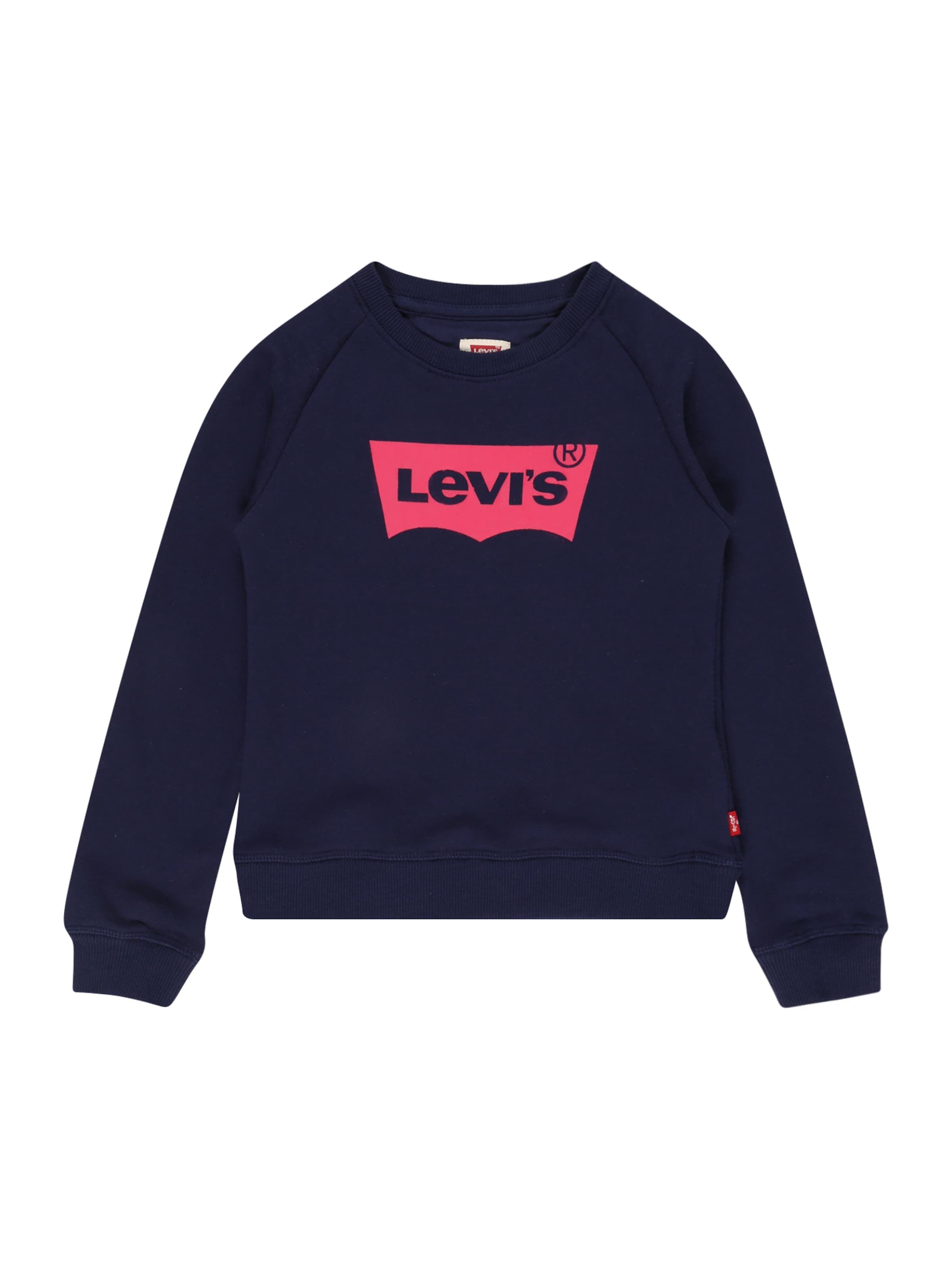 Levi's Kids Sweatshirt in Blue: front