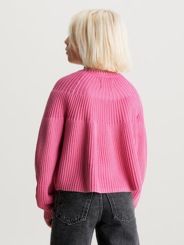 Calvin Klein Jeans Trui in Roze