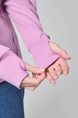 BENCH Athletic Zip-Up Hoodie 'Haylo' in Purple