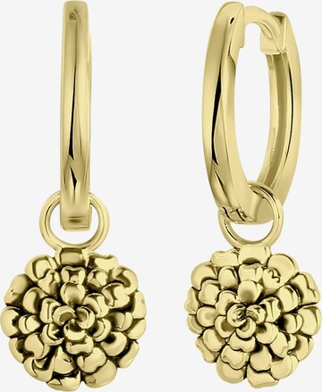 Lucardi Earrings in Gold: front