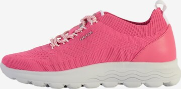 GEOX - Calzado deportivo con cordones en rosa: frente