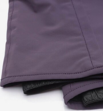 TONI SAILER Pants in S in Purple