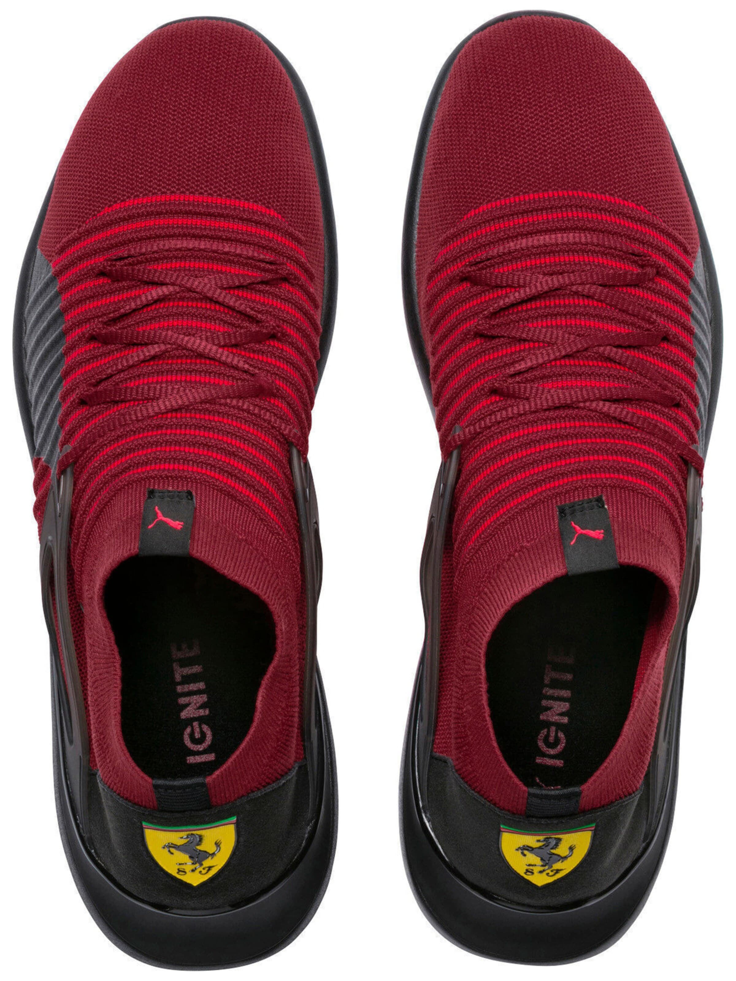 PUMA Sportschoen 'Ferrari Evo Cat Sock Lace' in Rood