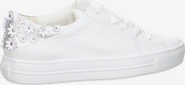 Baskets basses Paul Green en blanc