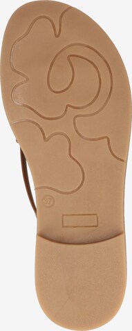 Rapisardi T-Bar Sandals in Brown