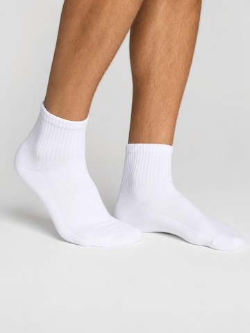 sockenkauf24 Athletic Socks 'Quarter Tennissocken' in White