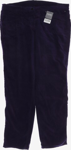 Orwell Pants in XXXL in Purple: front