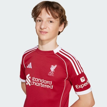 ADIDAS PERFORMANCE Funkcionális felső 'FC Liverpool 25-26 Heim' - piros