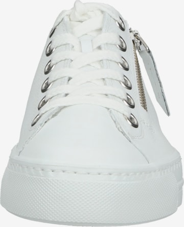 Sneaker bassa di Paul Green in bianco