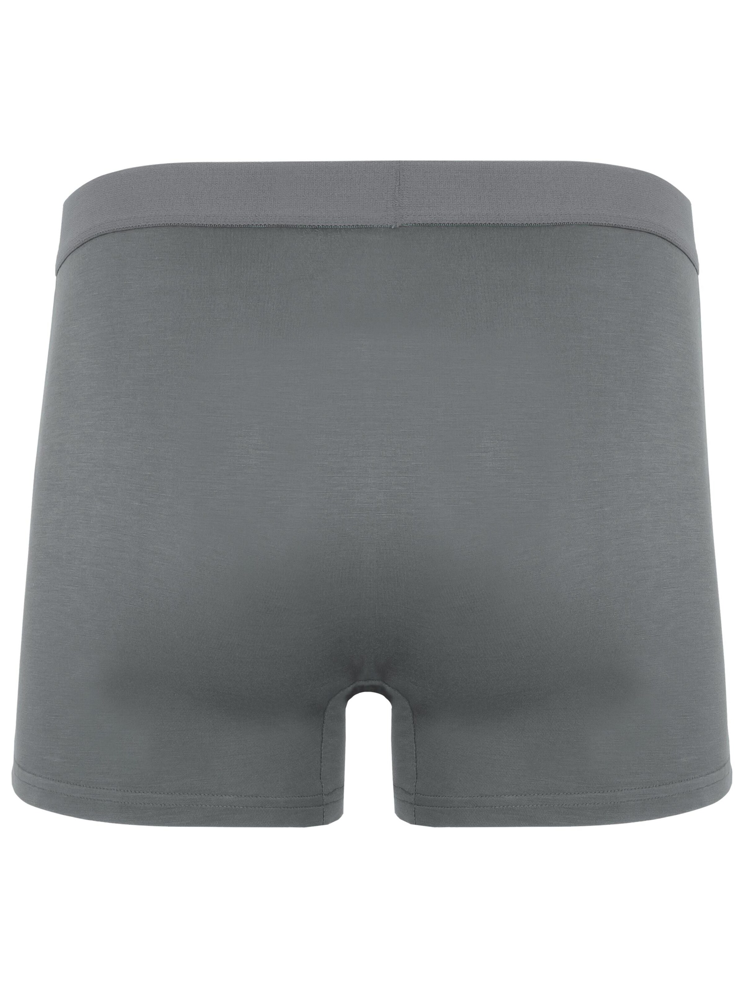 Boxers normani en gris