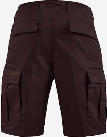 Regular Pantalon outdoor 'Dasht' normani en marron