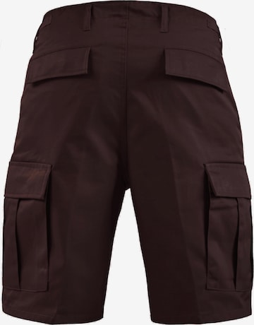 Regular Pantalon outdoor 'Dasht' normani en marron