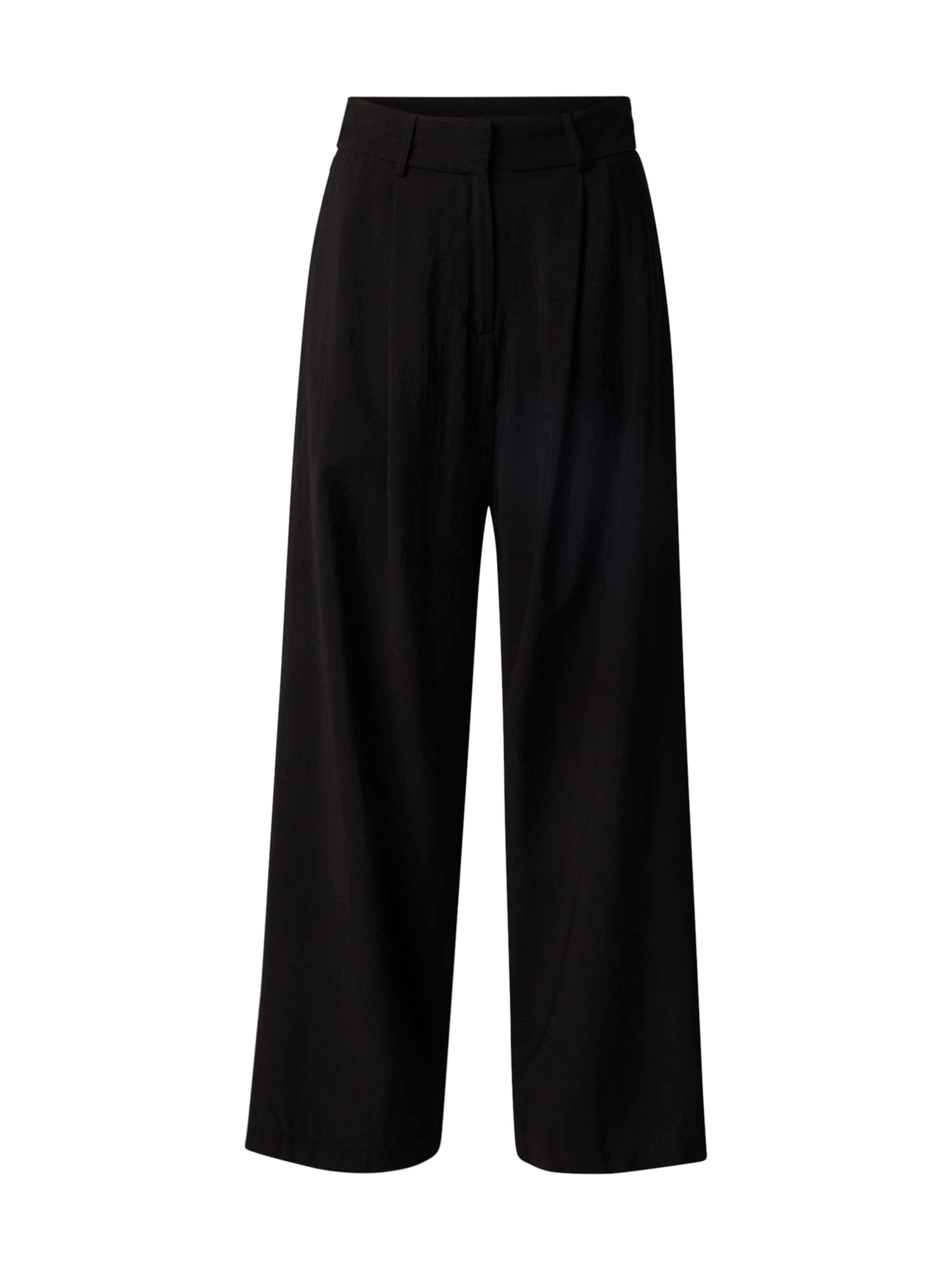 Aware Wide leg Pleat-Front Pants 'Perry' in Black: front