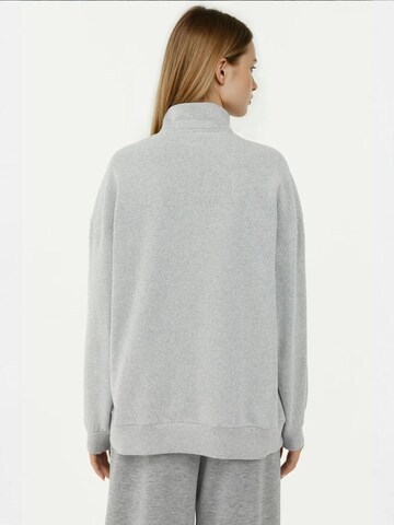 Hiccup - Sweatshirt em cinzento