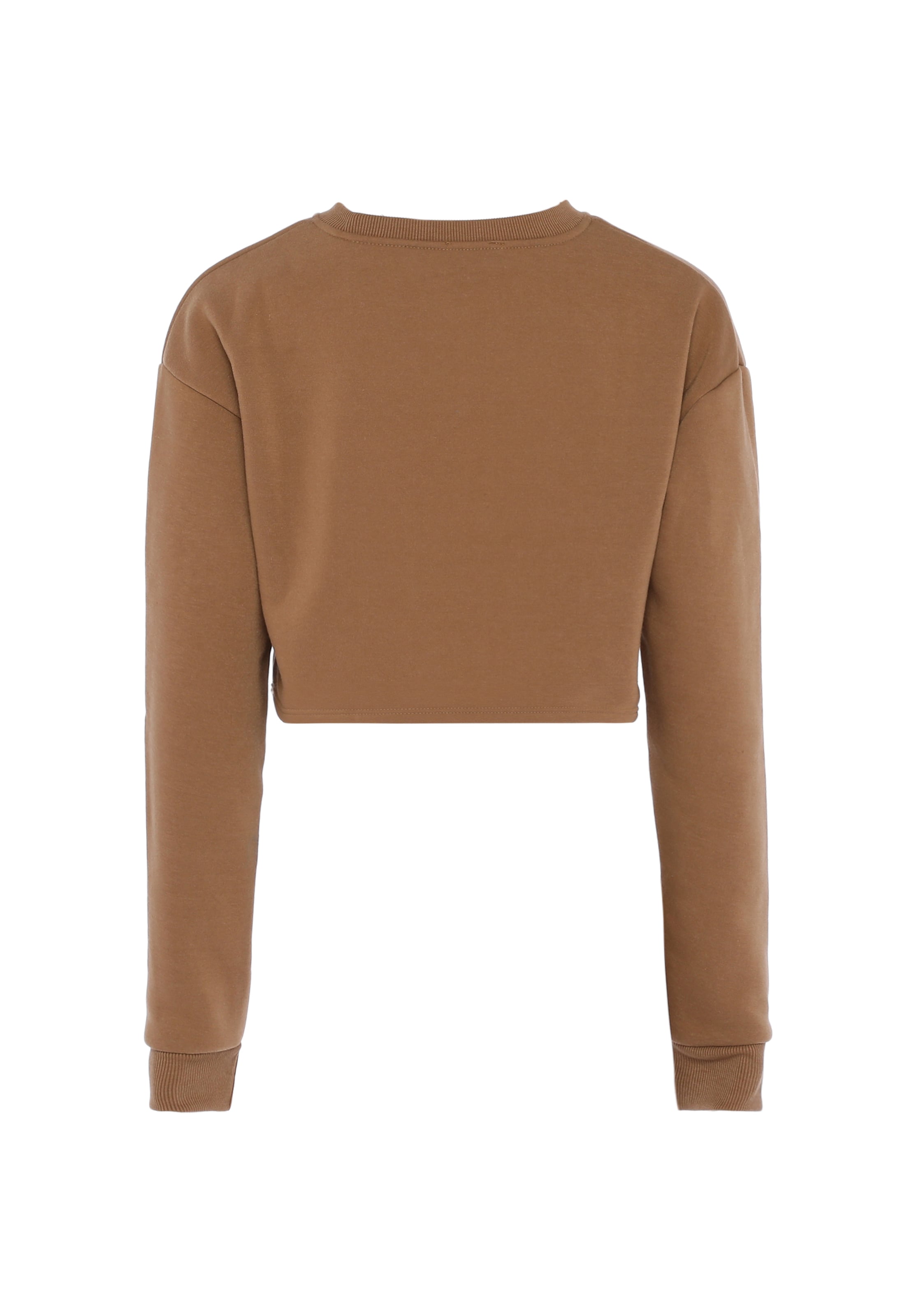 BLONDA Sweatshirt in Brown