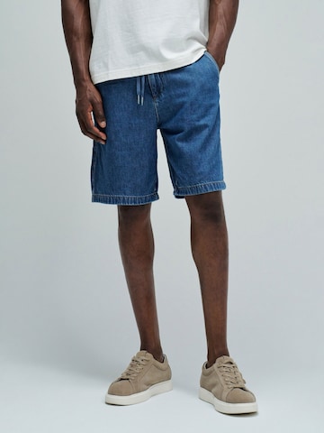 Salsa Jeans Regular Jeans in Blue: front