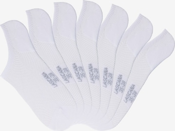 LASCANA ACTIVE Ankle Socks in White: front