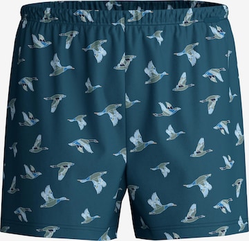 CALIDA Boxer shorts 'Prints' in Blue: front