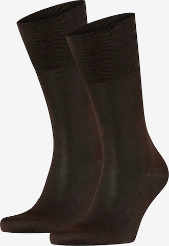 Chaussettes FALKE en marron : devant