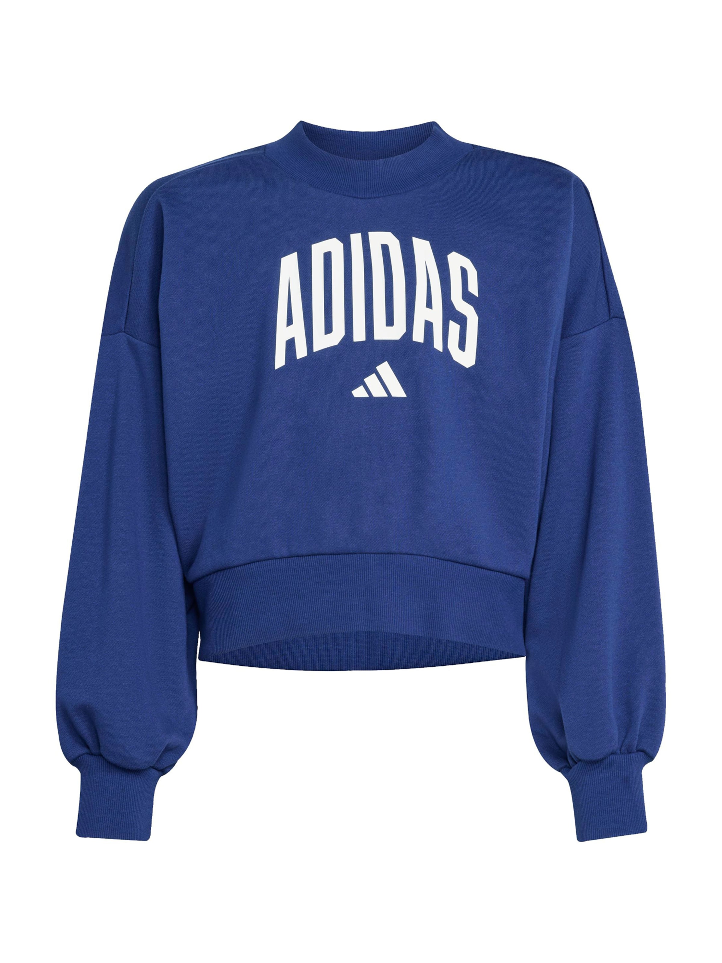 ADIDAS SPORTSWEAR Sportsweatshirt i blå: forside