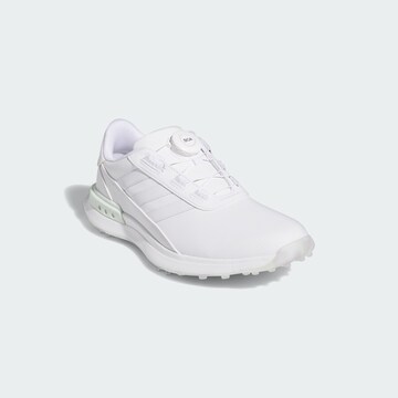 Chaussure de sport ADIDAS PERFORMANCE en blanc