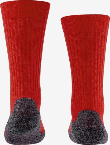 FALKE Sportsokken 'Active Warm' in Rood