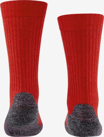 FALKE Athletic Socks 'Active Warm' in Red