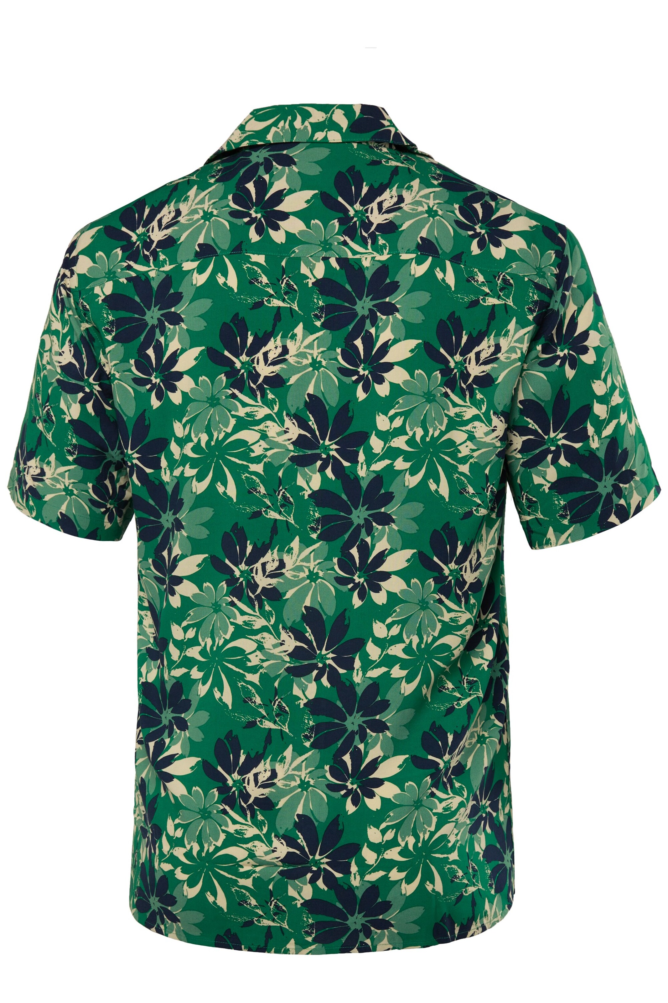 Men Plus Regular Fit Hemd in Grün