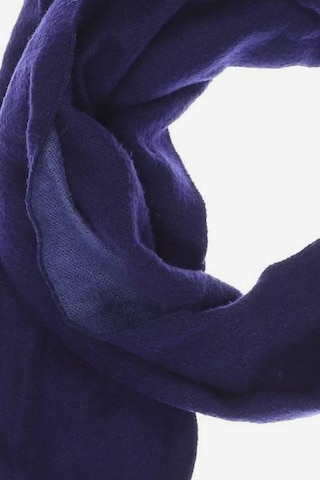 Calvin Klein Scarf & Wrap in One size in Blue