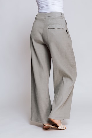 Zhrill Regular Pleat-Front Pants in Grey