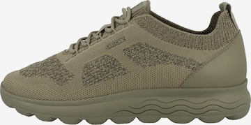 GEOX Sneakers laag ' D Spherica A ' in Groen