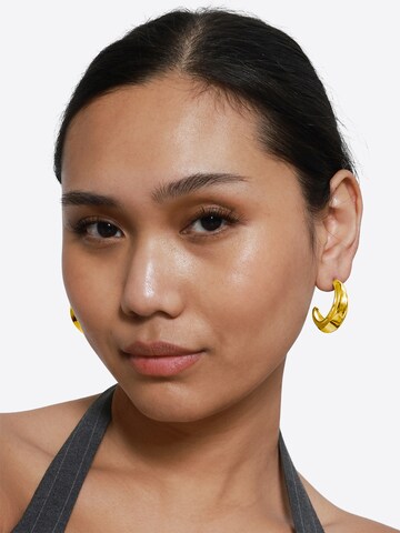 Boucles d'oreilles 'Sergia ' Heideman en or : devant