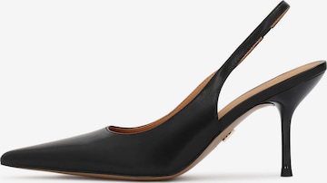 juoda Kazar Basutės: priekis