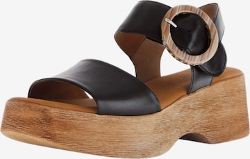 Sandales GABOR en noir : devant