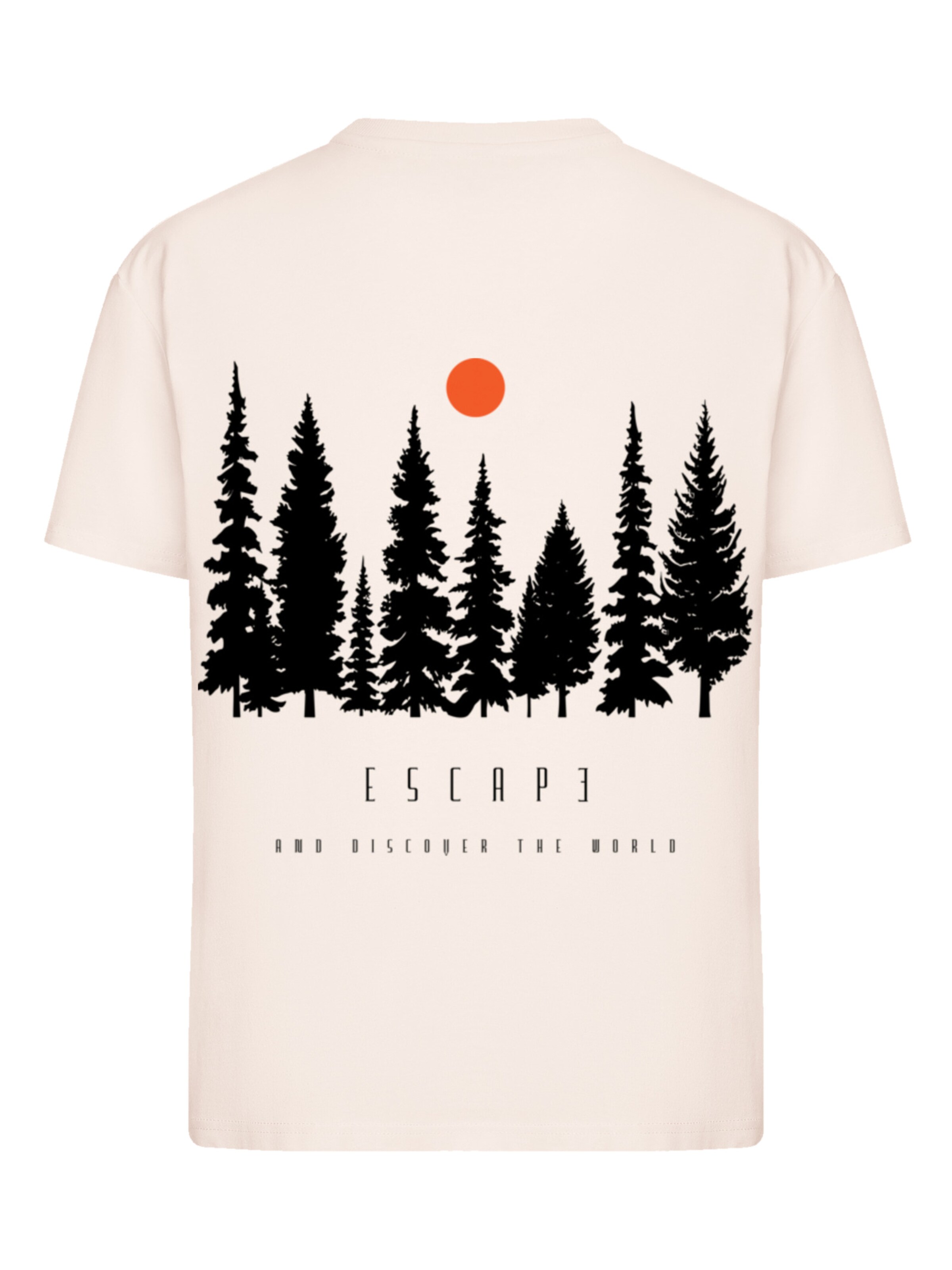 F4NT4STIC Shirt in Beige